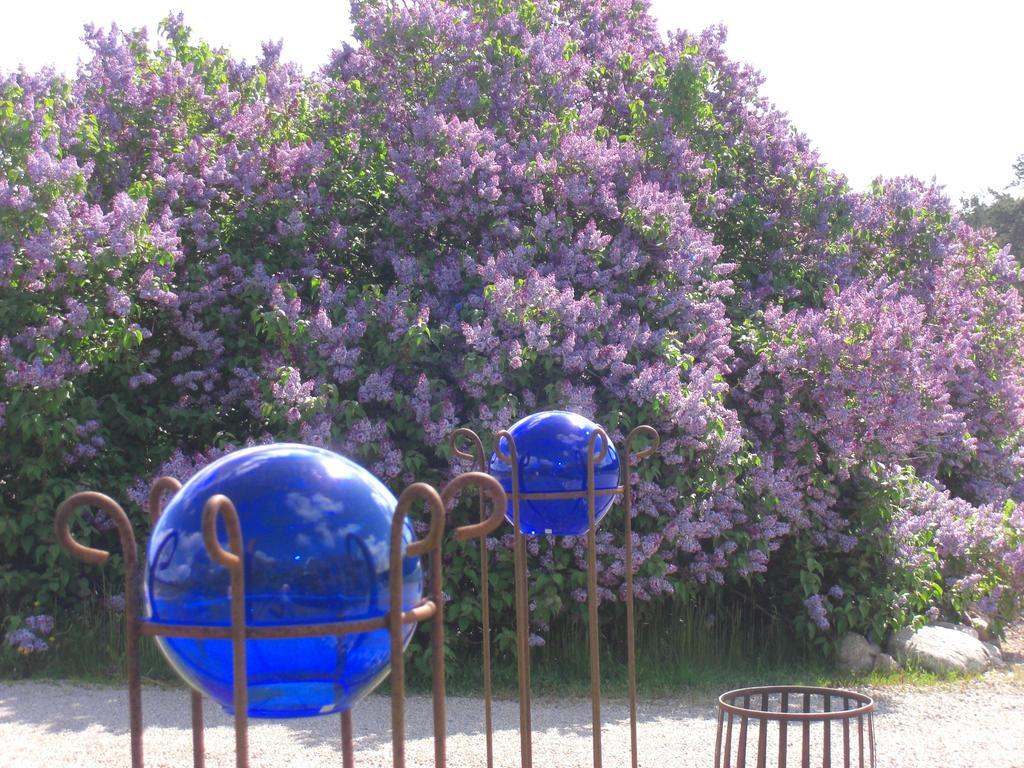 Aengshyddan B&B Yngsjö Dış mekan fotoğraf